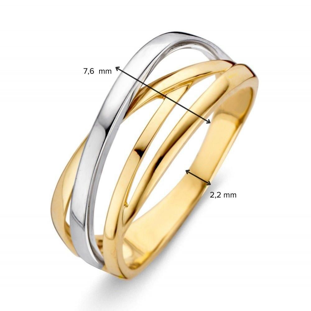 Anello bicolore