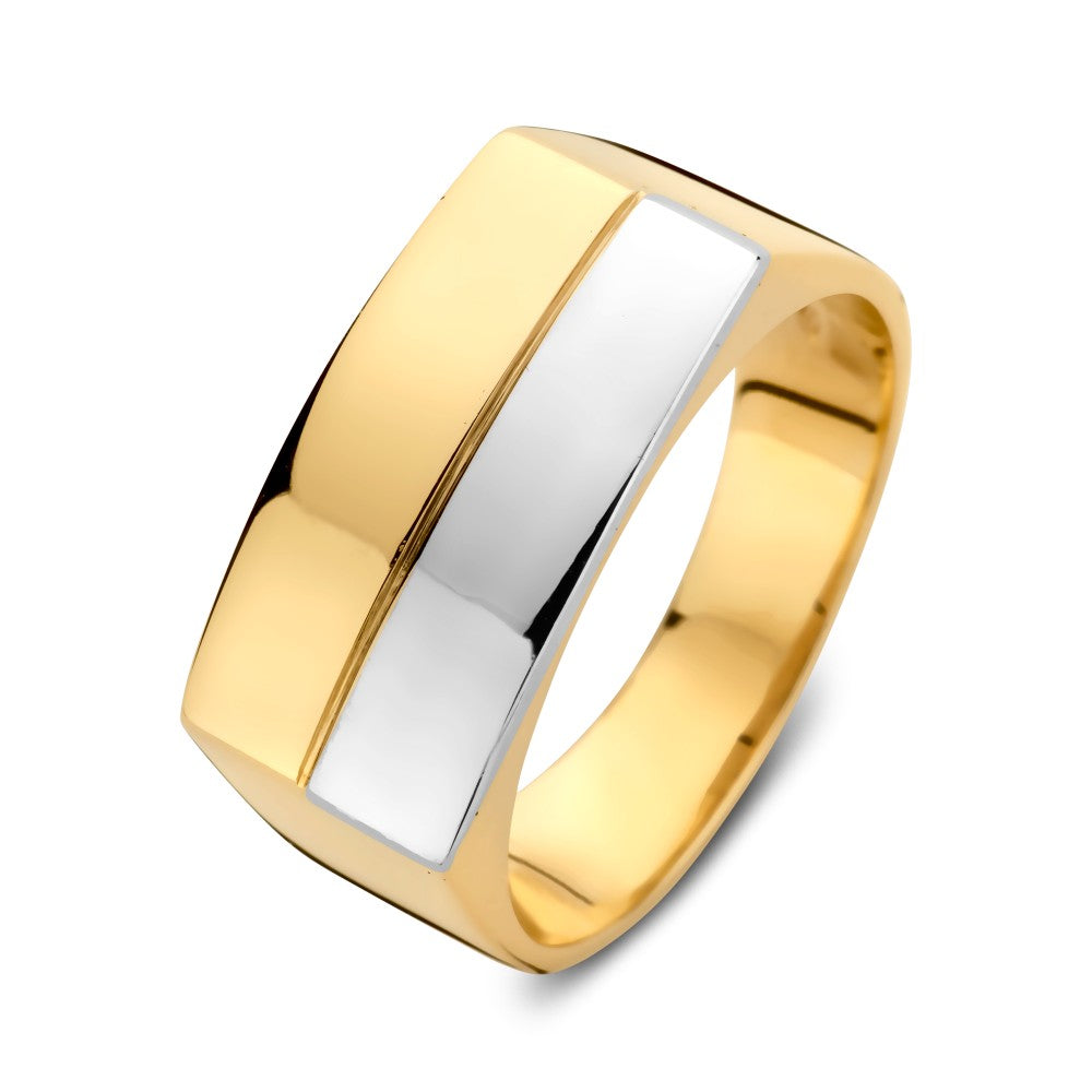 Anello bicolore in oro bianco e giallo con design elegante e robusto.