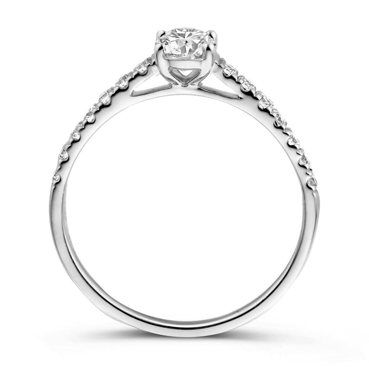 Ring Franky Royal 0,48 crt. witgoud
