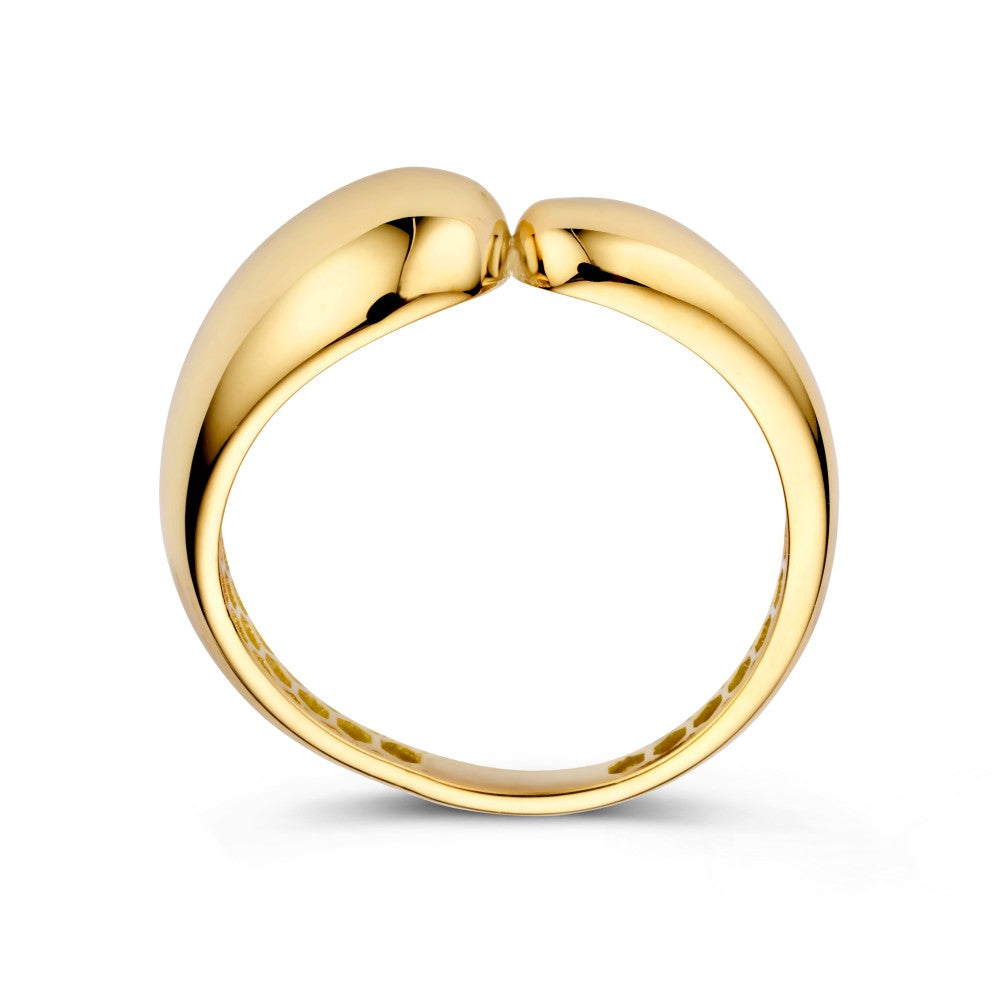 Anello oro giallo