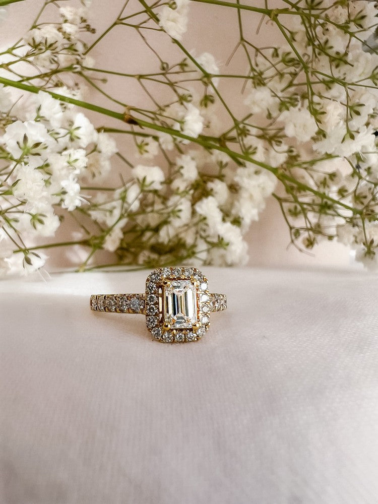 Anello Ivy royal 1,00 crt. oro giallo