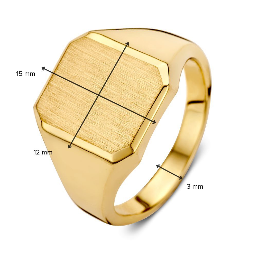 Anello a Sigillo in Oro Giallo 14 Carati da Uomo – Design Lussuoso e Senza Tempo